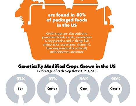 GMO Crops percentage