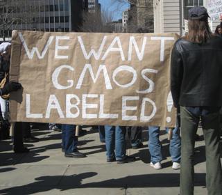 GMO Label Rally