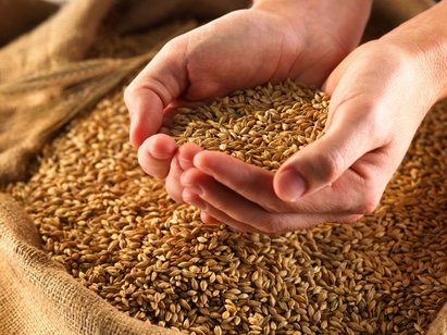 ancient-grains-you-may-have-never-tried
