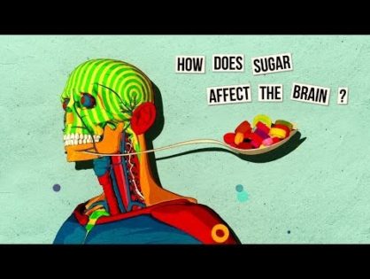 This is Your Brain on Sugar