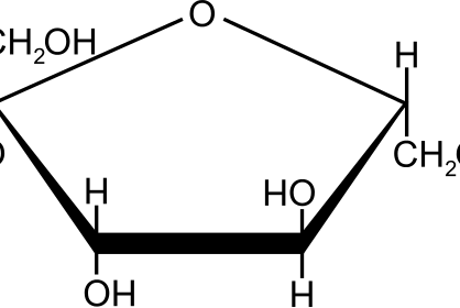 Is There Anything Natural About Fructose?