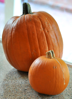 pumpkins