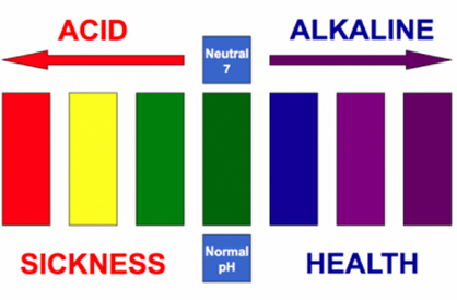 Acid—The Silent Killer; Alkalinity—The Key to Health