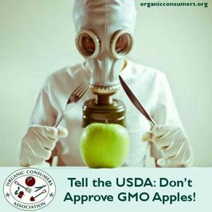 Just Say No to GMOs, Part 3 of 3: How To Detect Hidden GMO's