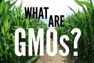 Just Say No to GMOs, Part 1 of 3