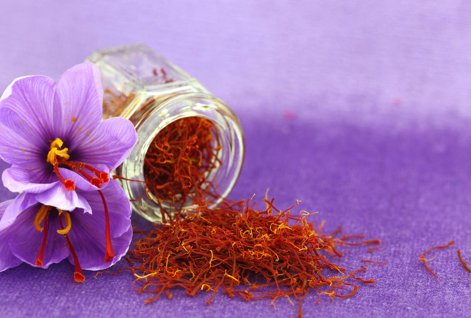 Saffron- A Spicy Treatment for Depression, Alzheimer’s, Macular Degeneration, Weight Loss and More
