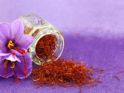 Saffron- A Spicy Treatment for Depression, Alzheimer’s, Macular Degeneration, Weight Loss and More