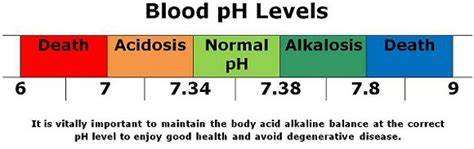 pH Balance for Better Bones - Processed-Free America