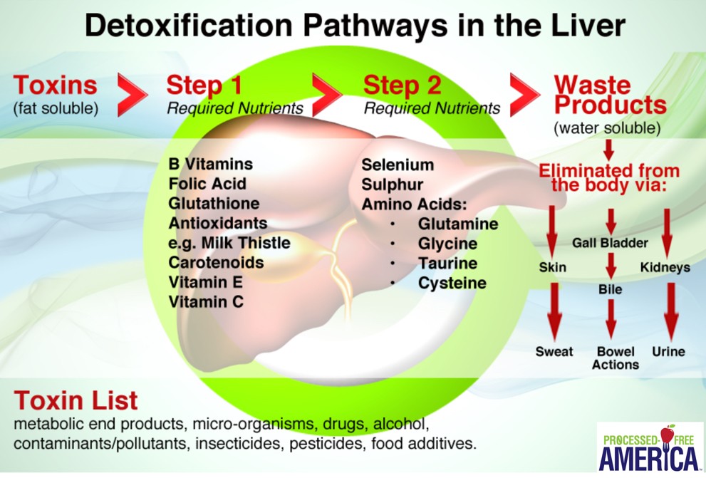 Recommended Supplements for Dee-Tox and Weight Loss - Processed-Free ...