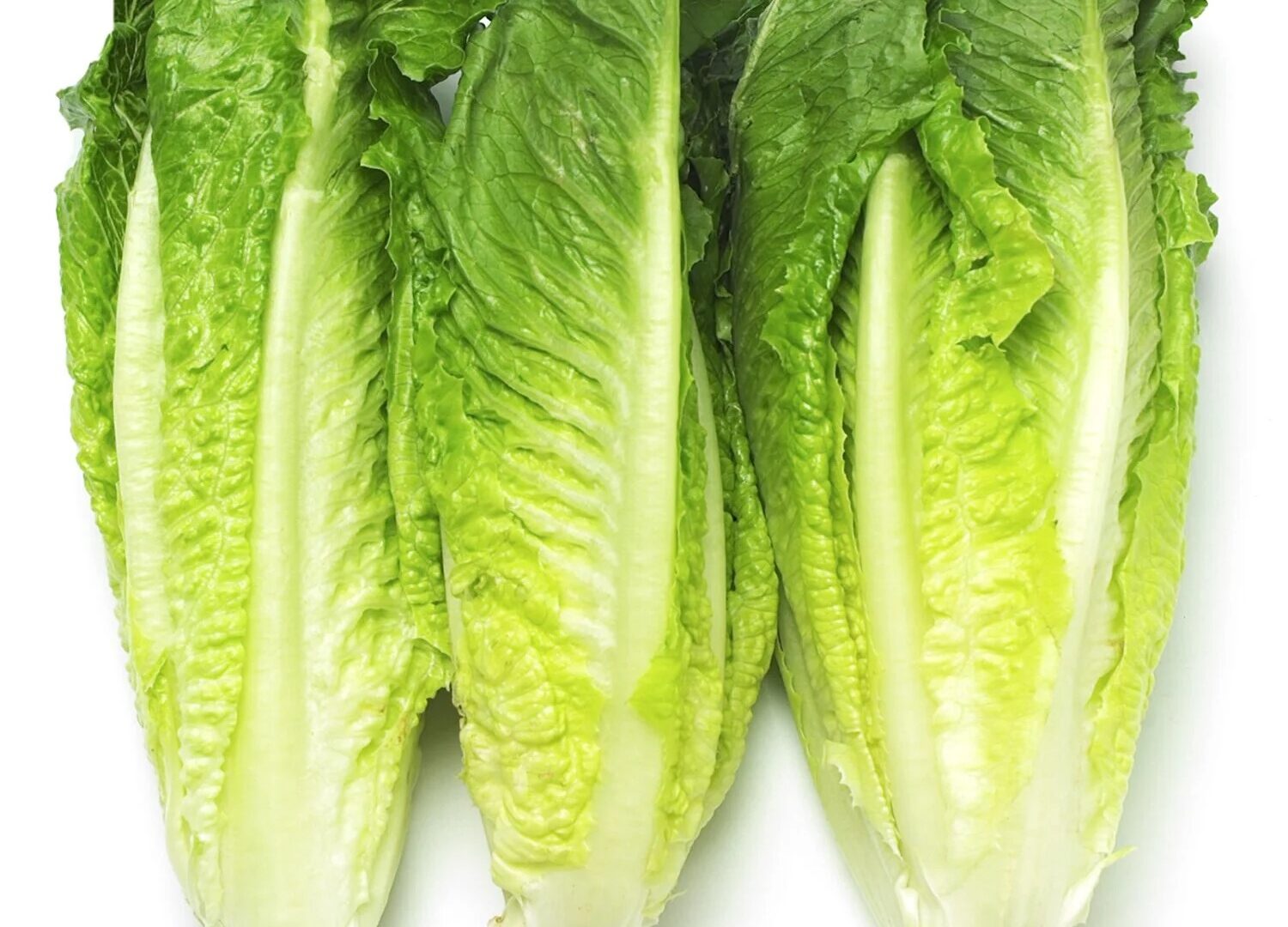 Is Conventionally Grown Romaine Lettuce Safe to Eat? Here's Why I'm No Longer Worried