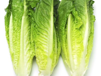 Is Conventionally Grown Romaine Lettuce Safe to Eat? Here's Why I'm No Longer Worried